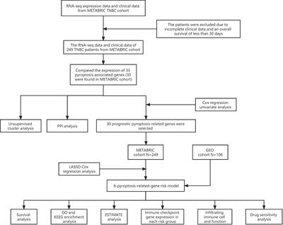 A pyroptosis-associated gene risk model for predicting the prognosis of triple-negative breast cancer